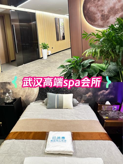 武汉会所哪里好_武汉好的会所_武汉会所排名