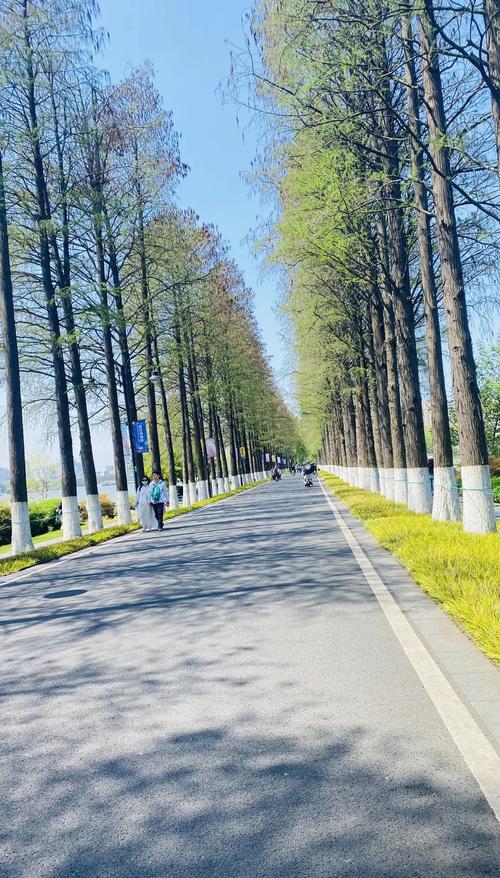 武汉好去处：东湖绿道等休闲之地，放松身心超适合