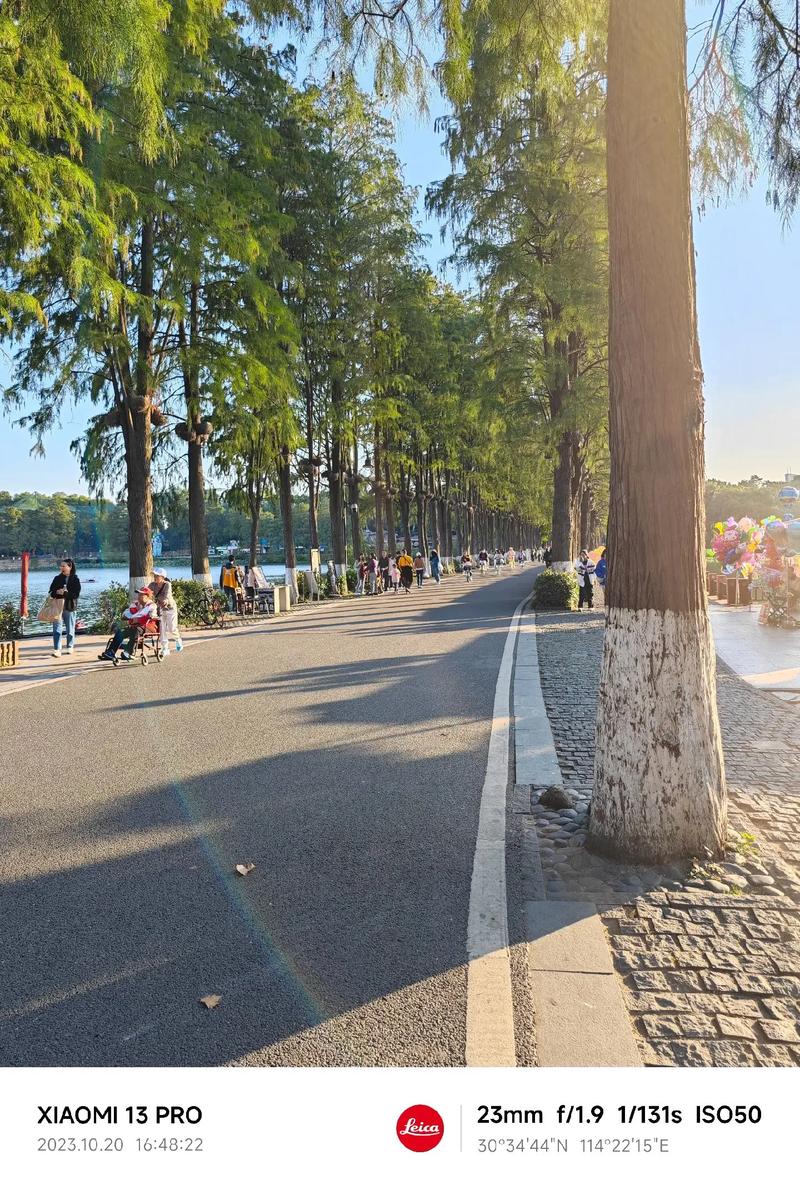 武汉休闲特色多，滨水漫步成日常，多样方式任你选