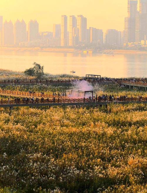 武汉哪里可以休闲_休闲武汉可以去哪里玩_休闲武汉可以玩的地方